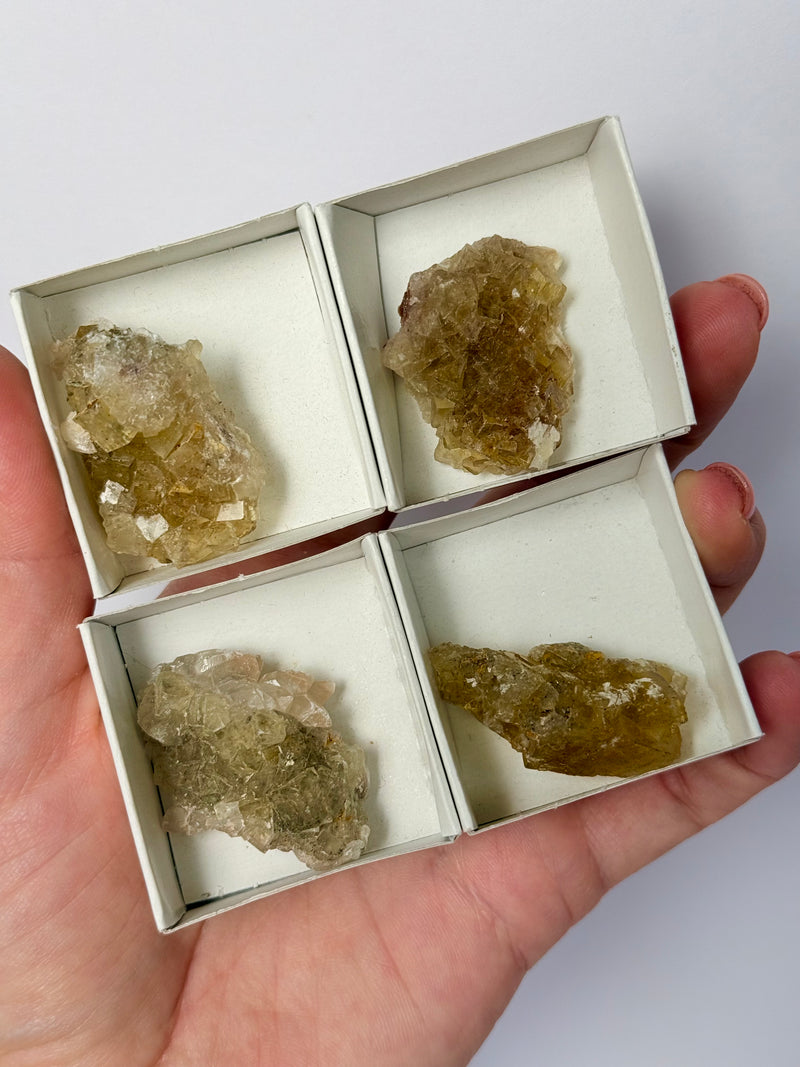 Spanish Yellow Fluorite Clusters