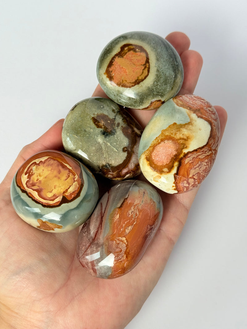 Polychrome Jasper Palmstone