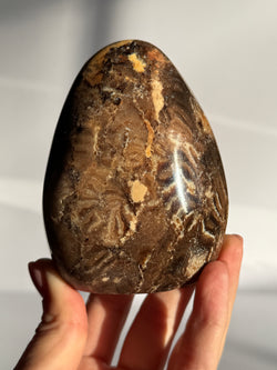 Chocolate Calcite Freeform