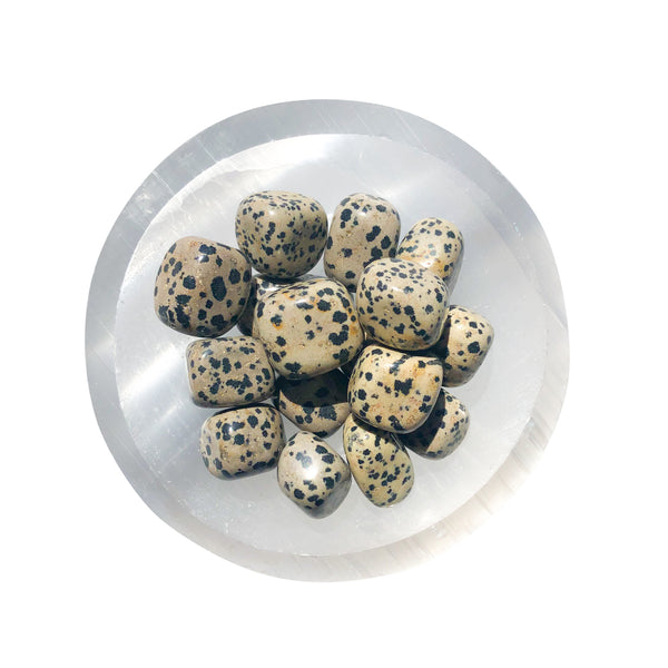Dalmatian Jasper Tumbles