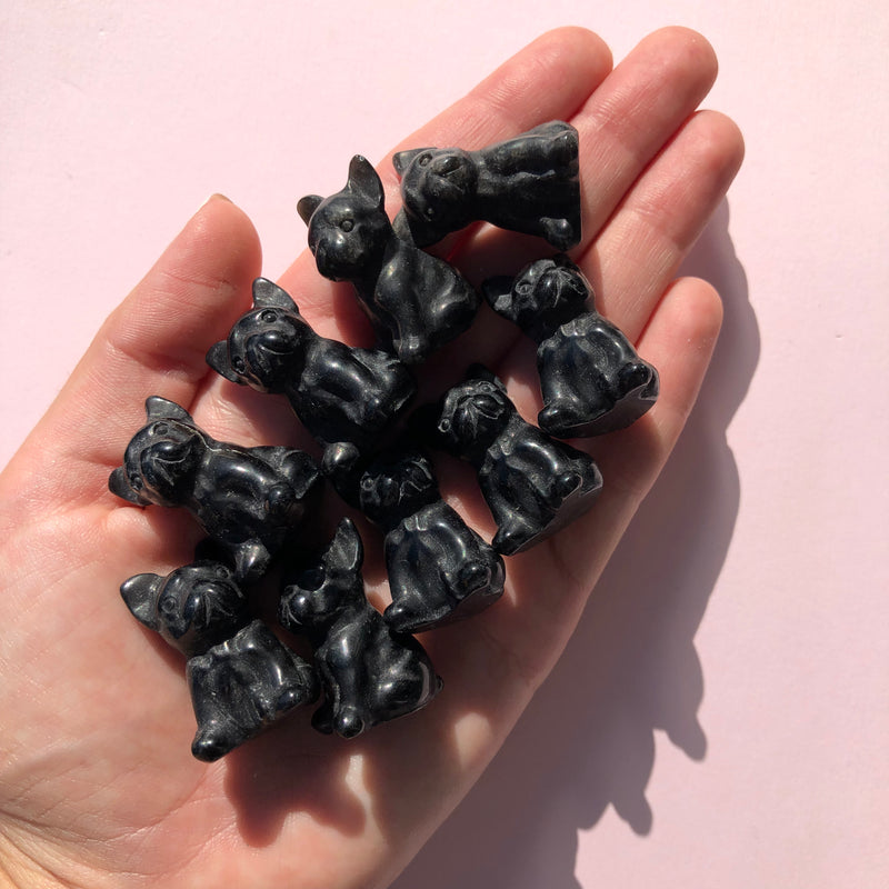 Black Obsidian Frenchies