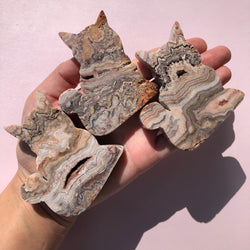 Pink Crazy Lace Agate Kitties